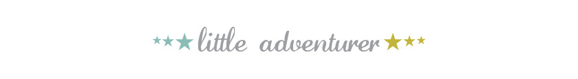 Little Adventurer