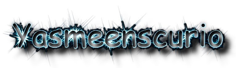 YasmeensCurio