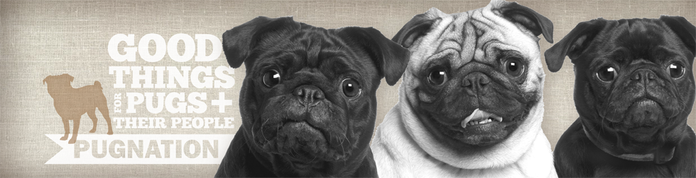 Pugnation