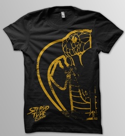 Steryo_type_mockup