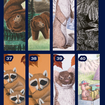 Bookmark | (individual)