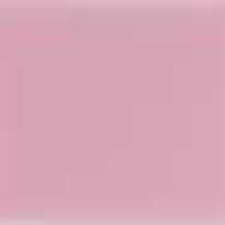 Rose_medium