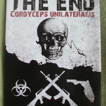 The end