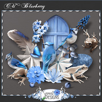 Samal_cublueberry_medium