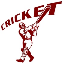 Cricket Game Vinyl Decal
