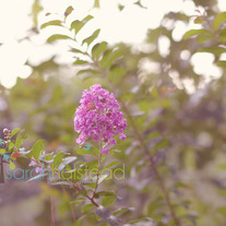 Storeldsc_3947_medium