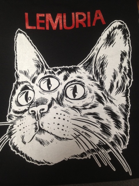 Cat Face T-shirt (girl sizes on American Apparel)