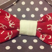 Buckaroo Bowtie