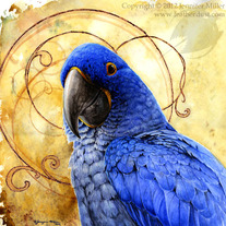 "A Special Kind of Blue" Hyacinth Macaw Watercolor Painting