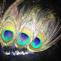Peakcock Hairclip