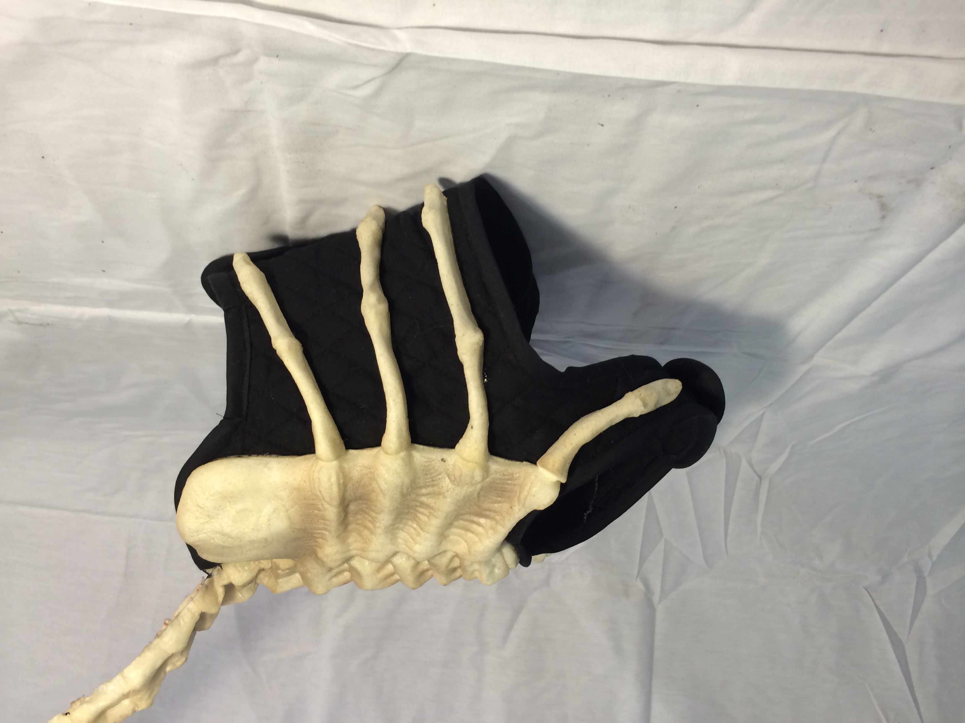 Alien Facehugger Dog Leash on Storenvy