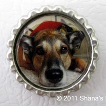 Custom Photo Bottle Cap Magnet - Made with Your Photo