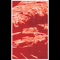 Kamikaze Pilots/ Japanese Women Split Tape TOANG #3
