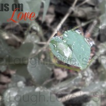 Focus on love cards