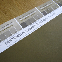 Vintage PANTONE® Poster - Pantone 1265 U 