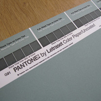 Vintage PANTONE® Poster - Pantone 5565 U