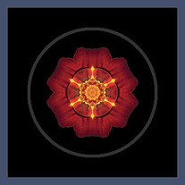 Marigold I