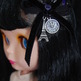 Dsc_0798_small