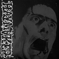Haymaker Demo LP