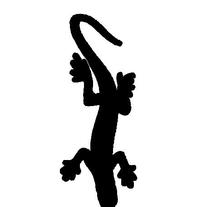 Lizard3_medium
