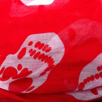 Red Scarf