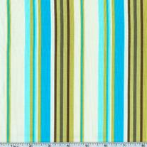 Amy Butler’s Daisy Chain’s Happy Stripe in River/AB36 Fat Quarter