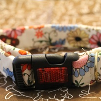 Country Bumpkin Collar: Medium