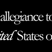 Esteves_ipledgeallegiance_2008_vinyl_4_x9__medium
