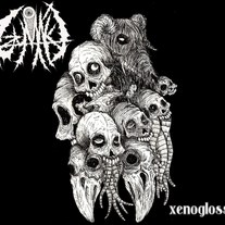 Uzumaki:  Xenoglossy      SRR023