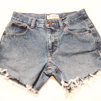 Arizona denim high waist shorts