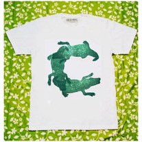 Cforcroc_medium