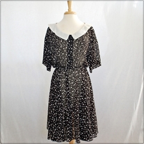 Sheer Black and White Polka Dot Dress