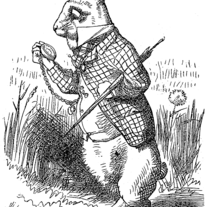 W. Rabbit [PERFUME]- 5ml