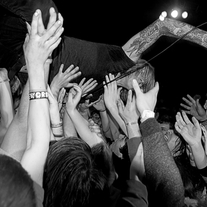 Evergreen_terrace_2_medium