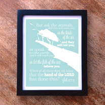 Job 12:7-9 8x10 Scripture Print
