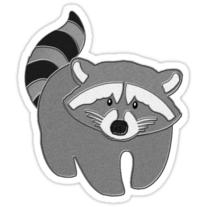 Raccoon Sticker