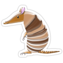 Armadillo Sticker