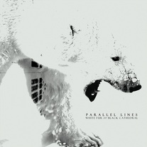 Parallel Lines - Black Fur /// White Cathedral