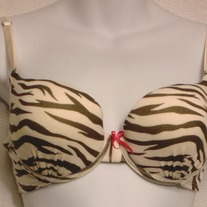 Bra_zebra_a_2934_medium