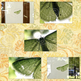 Green-moth-listing-3_small