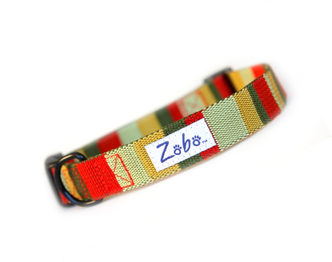 Indian summer dog collar