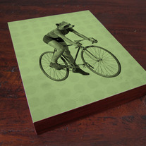 Raccoon Riding a Bicycle - Wood Block Print