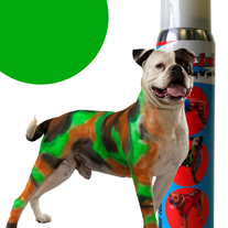 Pet Paint - Green