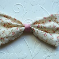 Bows_and_family_048_medium