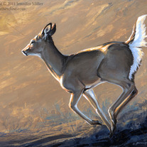 "Goldie" Whitetail Deer Acrylic Painting
