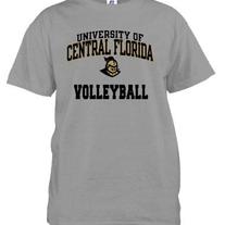 Volleyball Fast Track Tee