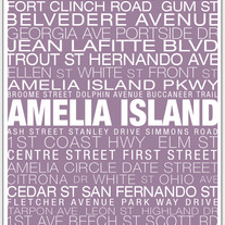 Amelia Island Neighborhood Print