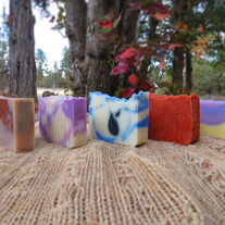 Soap for a Year Club