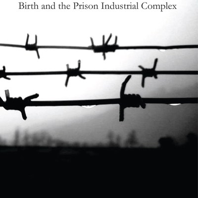 Defiant hearts: birth and the prison industrial complex