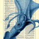 Squid_202_small